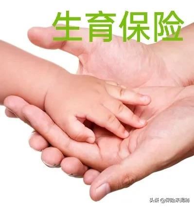 非深户社保知识点,社保法律知识点