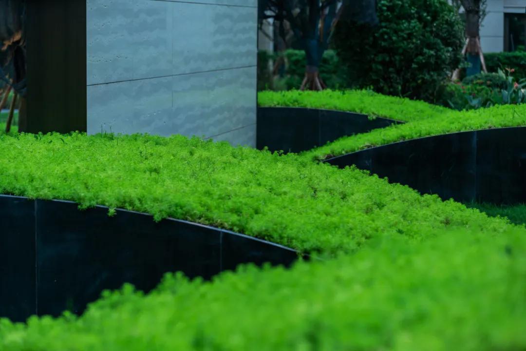 万科金开悦府,万科金开悦府高压线