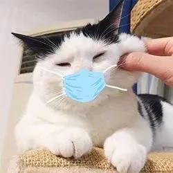 辟谣、吃酱油加深痘印?芦荟胶治好痘坑?别傻了!