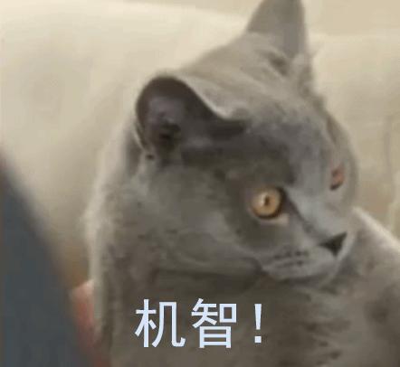 一男子行李箱过安检,一男子过海关被查