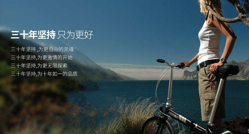 小白入手什么车,大行折叠车各系列对比