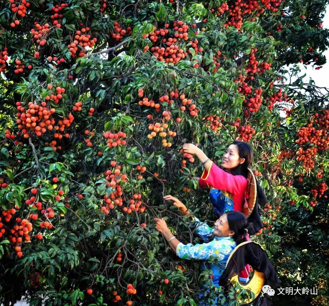东莞大岭山镇：湾区制造名镇，再来一场文化突围