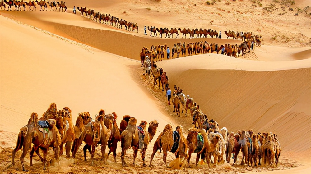 开国少将修筑青藏公路：如果电报没从拉萨发来，那就证明我死了