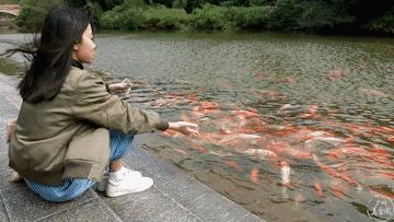 无聊可耻放在抖音里,无聊是可耻的句子