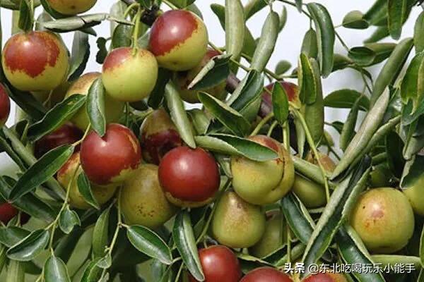 疫情期间买菜正确方法,疫情期间买菜做饭注意事项