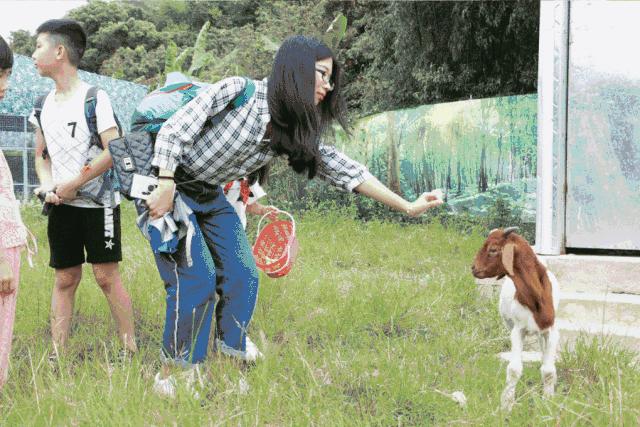 69.9抢惠州罗浮山漂流门票89元抢漂流门票+空中田园