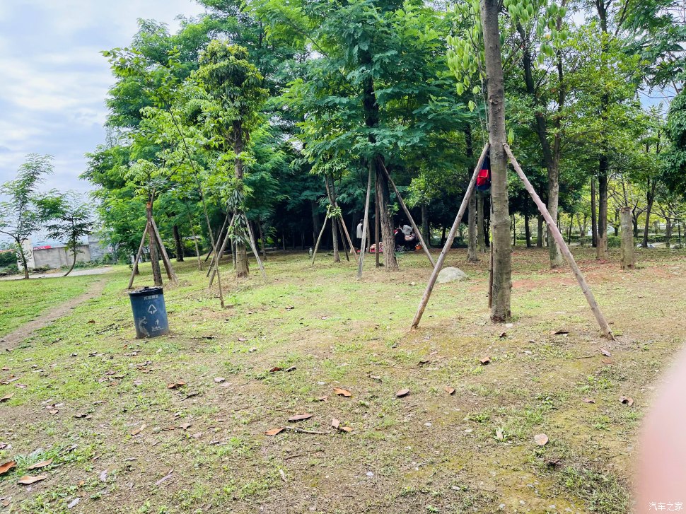 成都人会玩的景点,成都凤凰山公园可以爬山吗