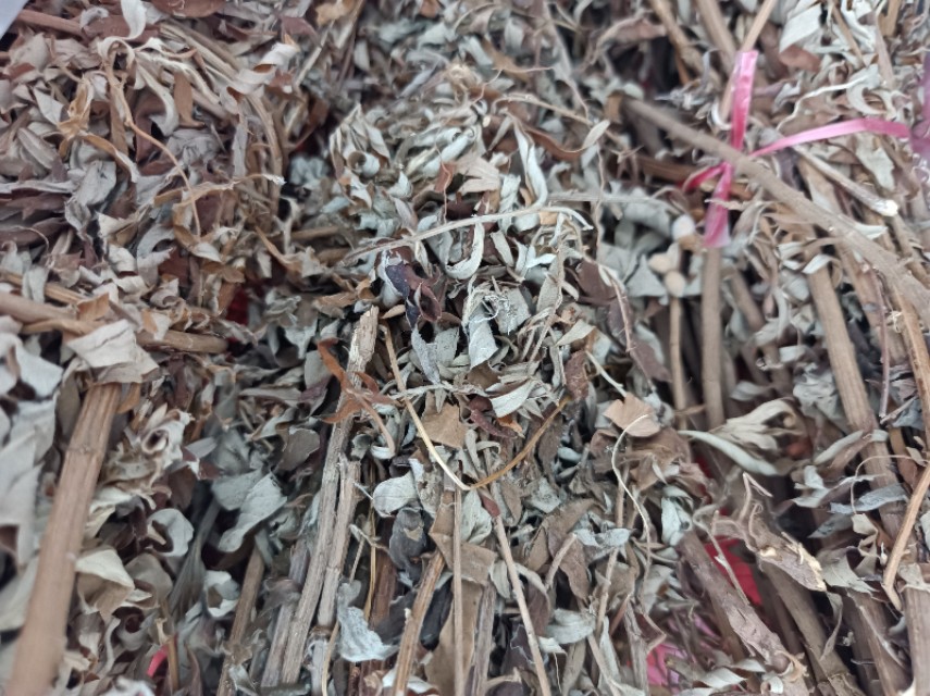 农村常见的煲汤很香的植物,广西山上有一种可以煲汤的植物