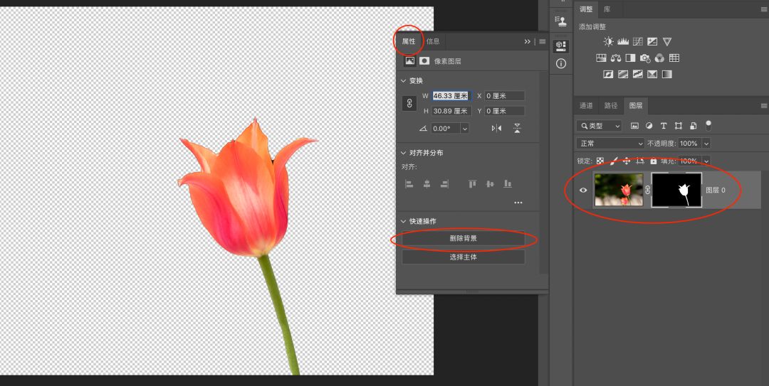 photoshop抠图去白边,photoshop教程抠图章