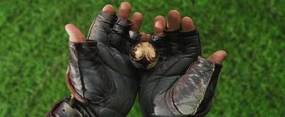 哈利波特中的魁地奇球,哈利波特里面的魁地奇球