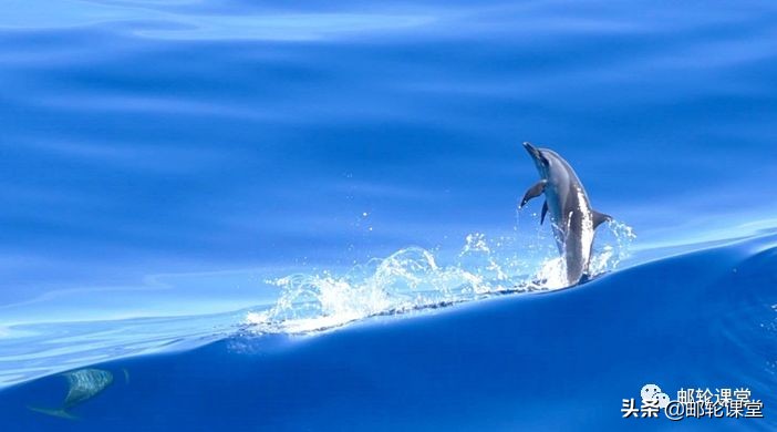 厦门上船!和平之船360度环球之旅第二期,带你去冰岛看极光