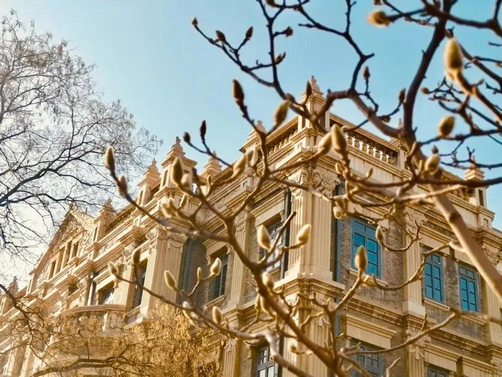 沈阳故宫和张氏帅府博物馆,沈阳张氏帅府博物馆旅游攻略