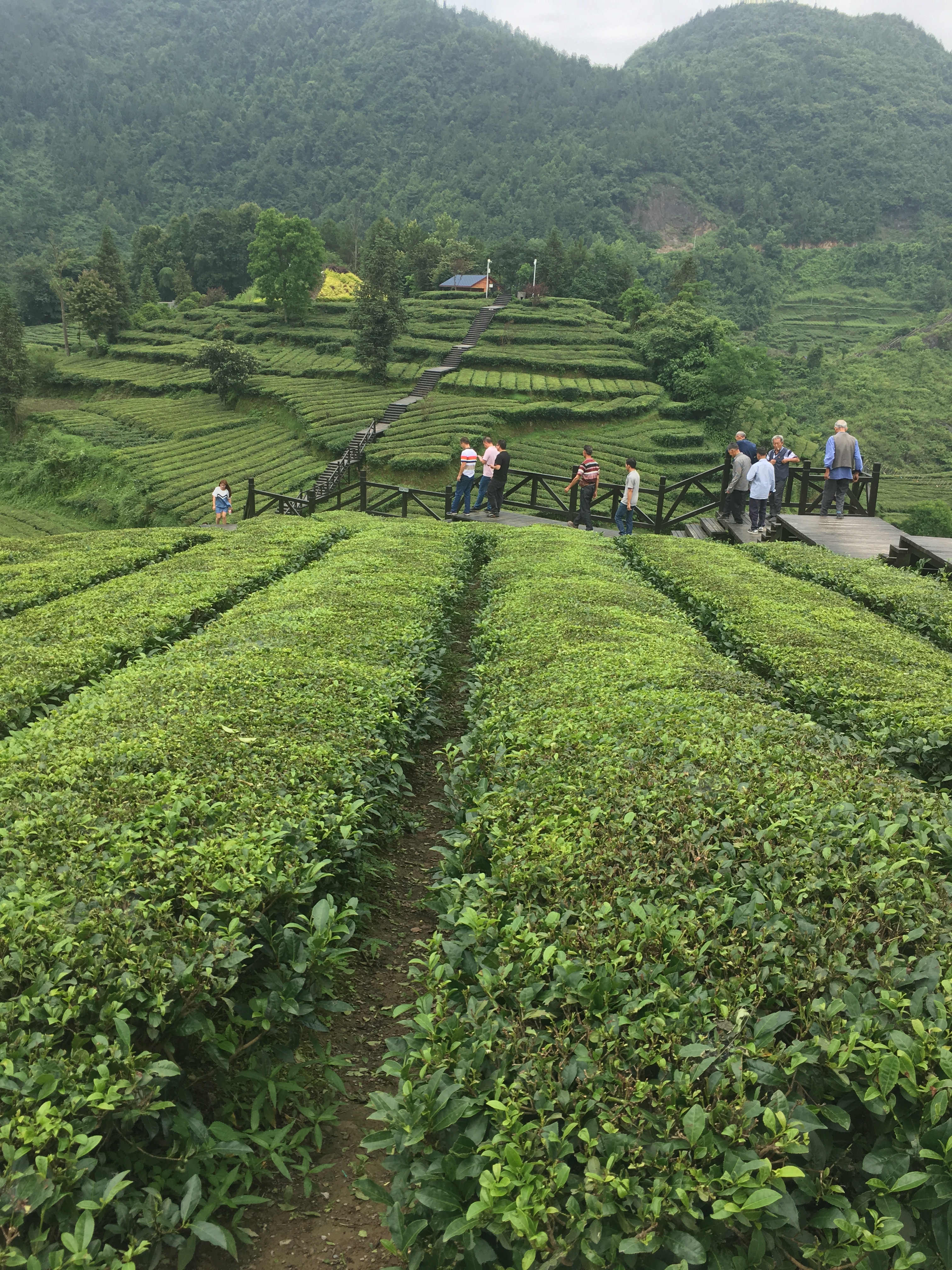 中国少数民族特色村寨广西,湖北少数民族特色村寨建设情况
