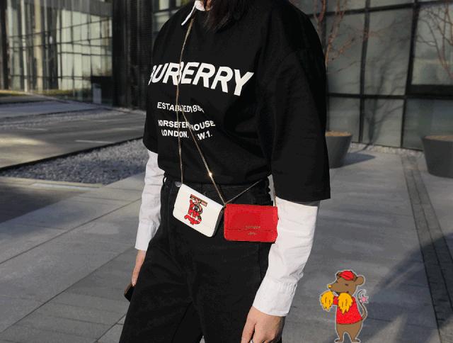 burberry必买十大经典包,2023burberry新款包