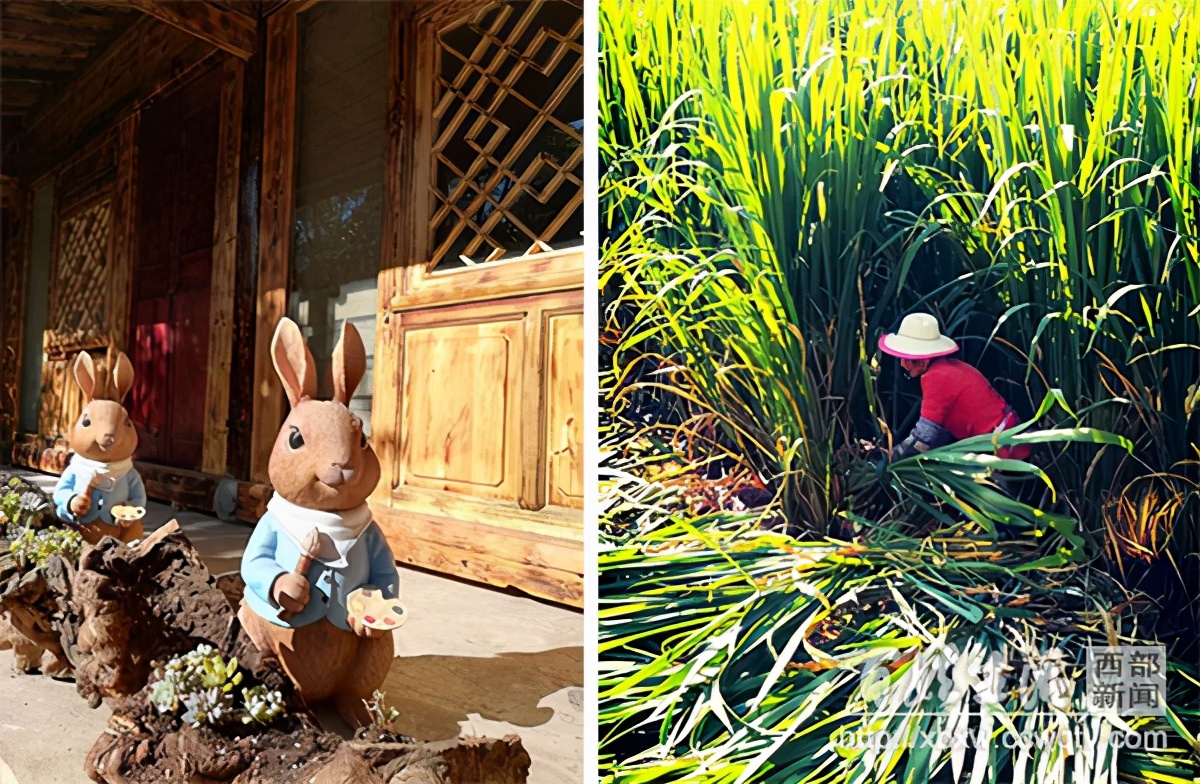 浼氱悊妤犻櫌,浼氱悊鍙ゅ煄妤犻櫌