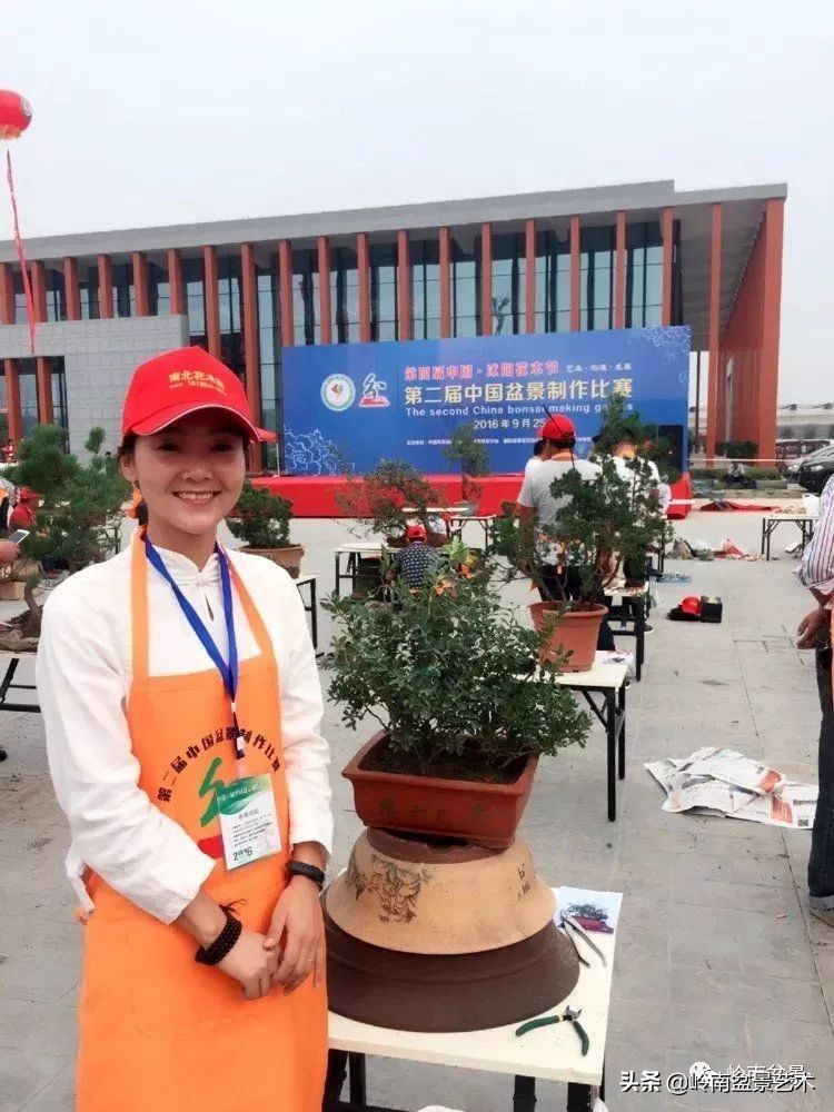 女盆景师丁昕,丁昕盆景