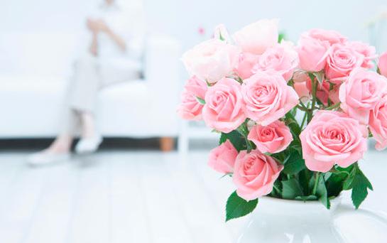 家具保养小知识,家具保养小知识大全文字