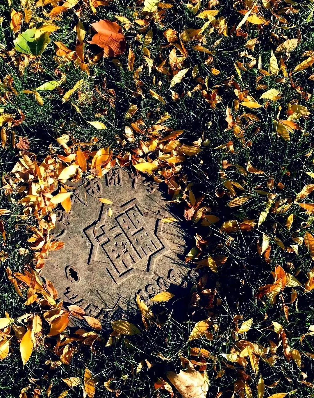 天津南开中学有多牛,天津南开中学入围