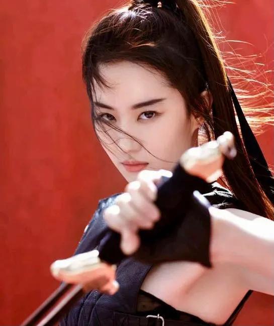 左宗棠军中的花木兰,左宗棠麾下的女将军