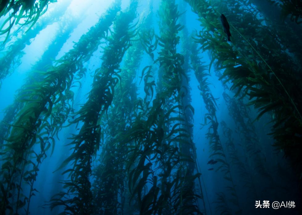 美国最受欢迎的五个州,美国最受欢迎的景点排行榜