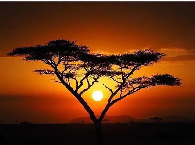 什么是非洲?这12处惊艳之地告诉你