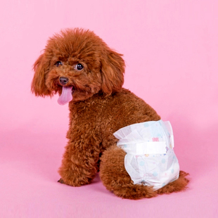 狗狗洗澡五大禁忌,狗狗洗澡时需要注意的事项有哪些