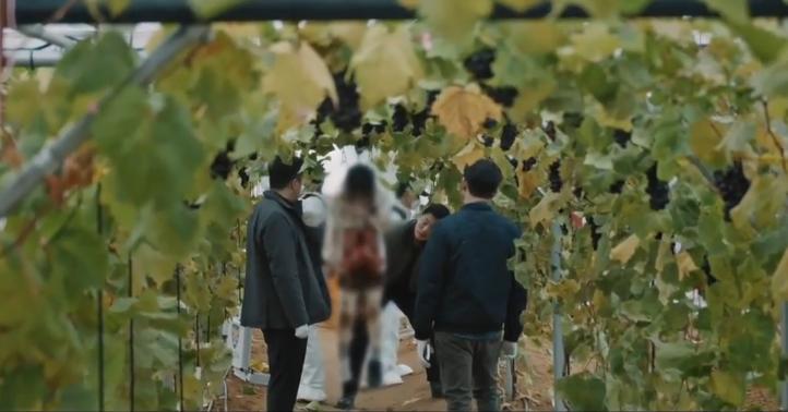 韩国又添爆款神剧,韩国近年爆火电视剧