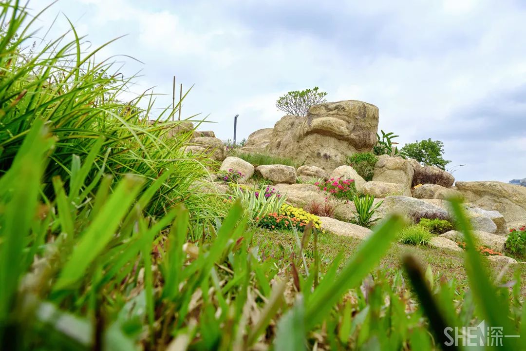 深圳5号地铁线附近的公园,地铁直达的深圳商圈