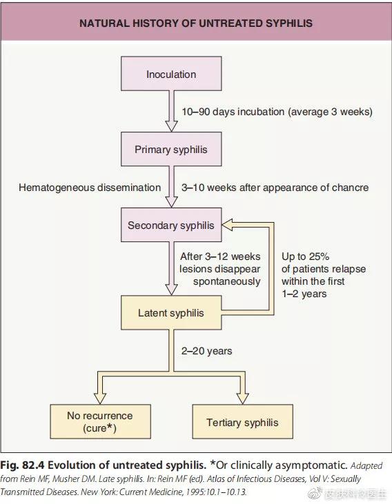 梅毒如果一直不治会怎么样,幼儿梅毒不治会自愈吗