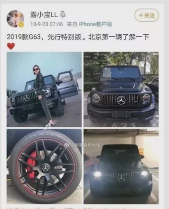 故宫奔驰女应承担法律责任：赔偿100万、行政或刑事责任