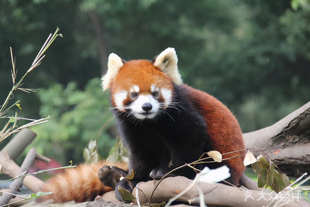 广西柳州4a级工业旅游景点,柳州景点收藏榜