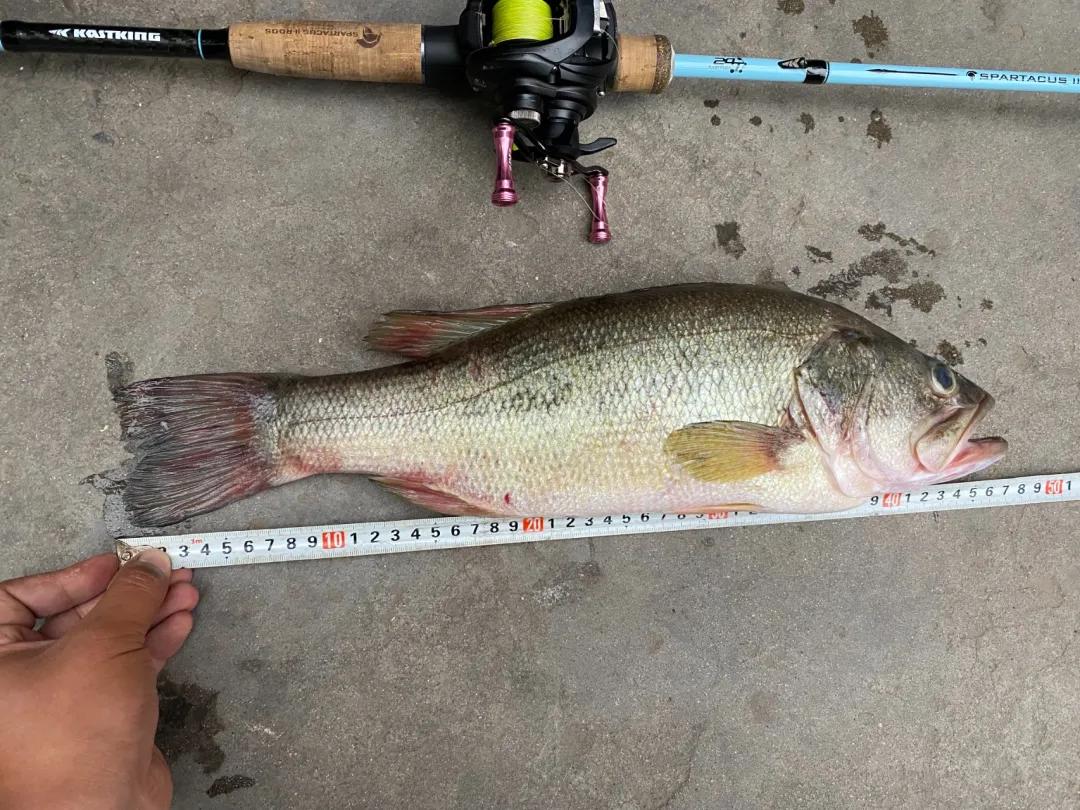 「渔获名人堂周榜」这两位粉丝钓友，你们太牛了