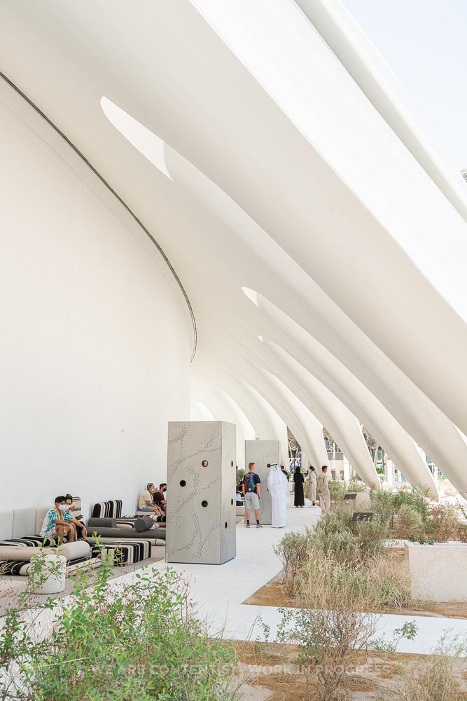 迪拜世博会中国馆正式试运营,迪拜世博会各国展馆建筑抢先看