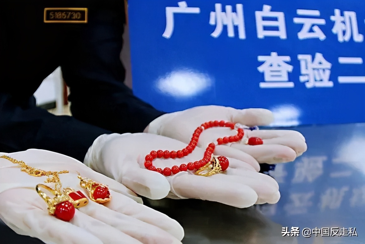 国门利剑打击汽车走私,2023年海关打私十大典型案例