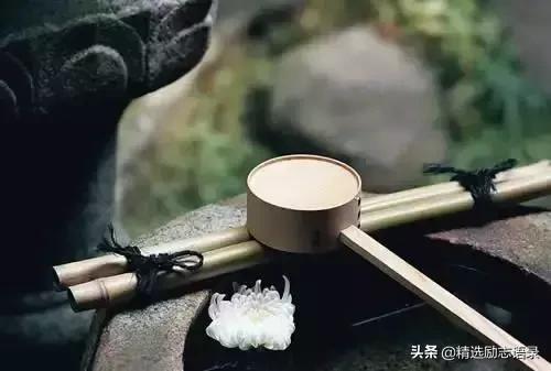 起早摸黑忙忙碌碌的生活,致起早摸黑忙忙碌碌的你