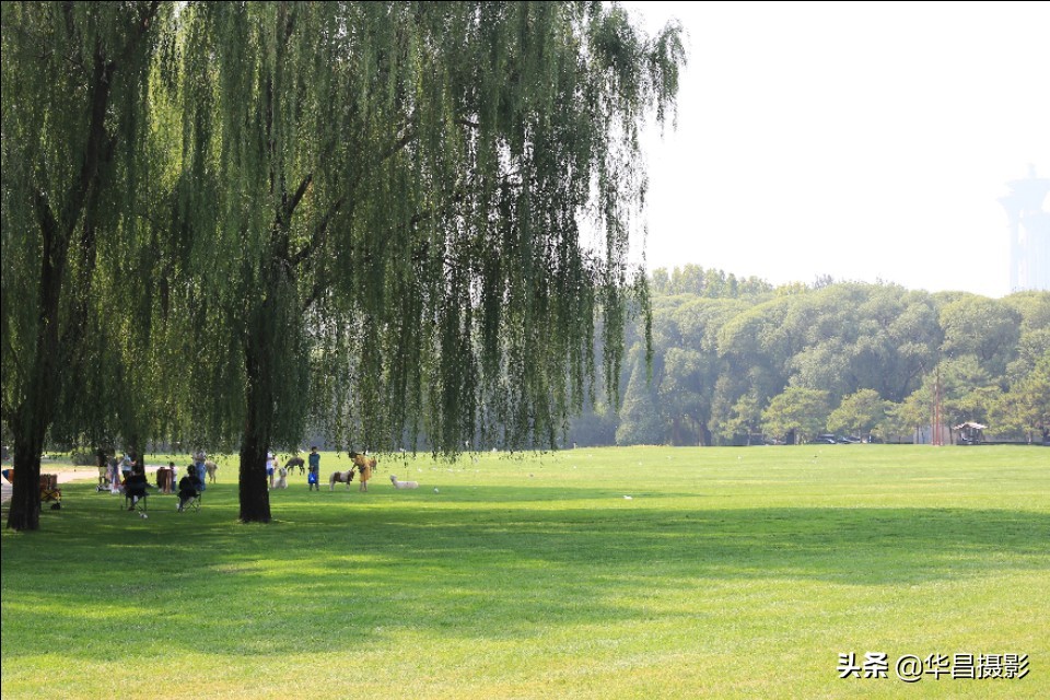 北京紫玉山庄简介,北京紫玉山庄公园