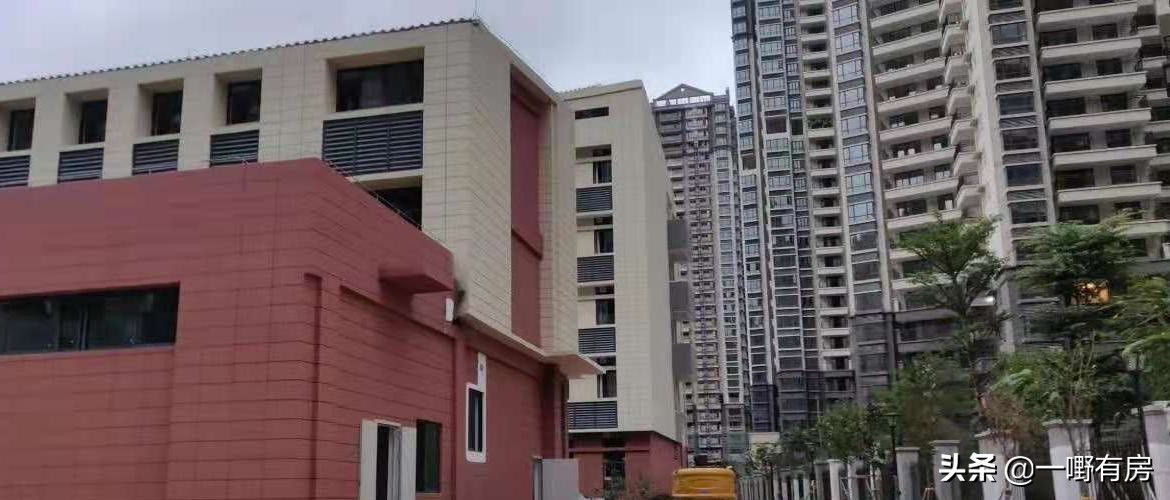 开发商打业主后续,开发商被业主打