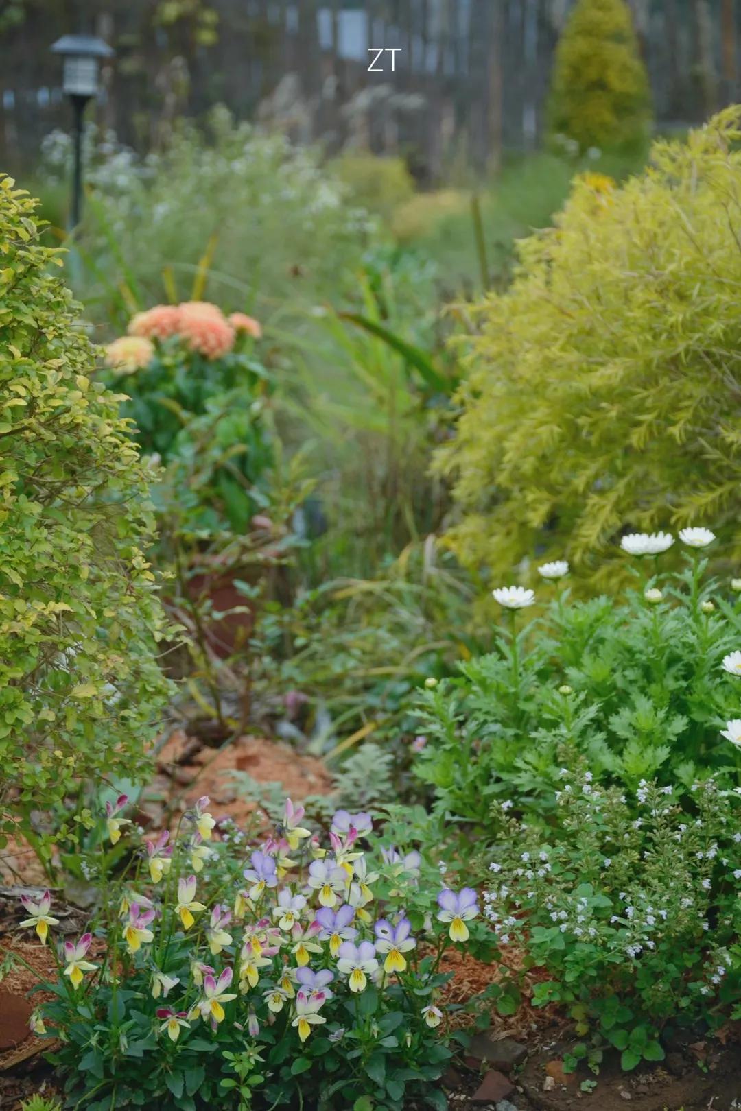 90后男孩住进郊区老屋，徒手打造400㎡自然花园，里面装满小精灵