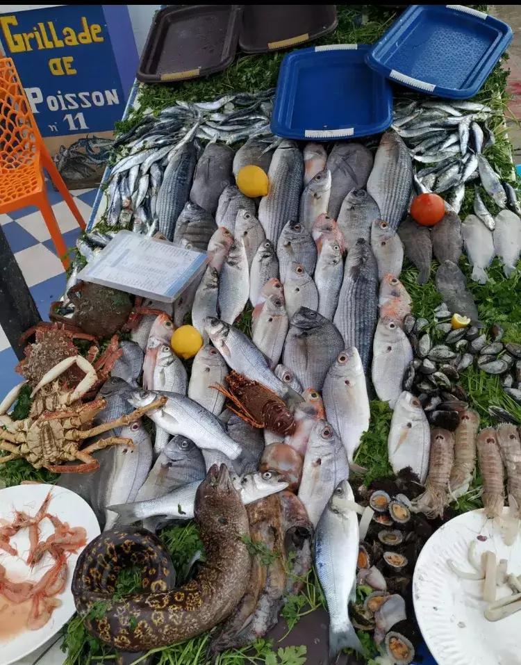 非洲的“后花园”在中国爆红，这个国家简直是“好色者”的天堂