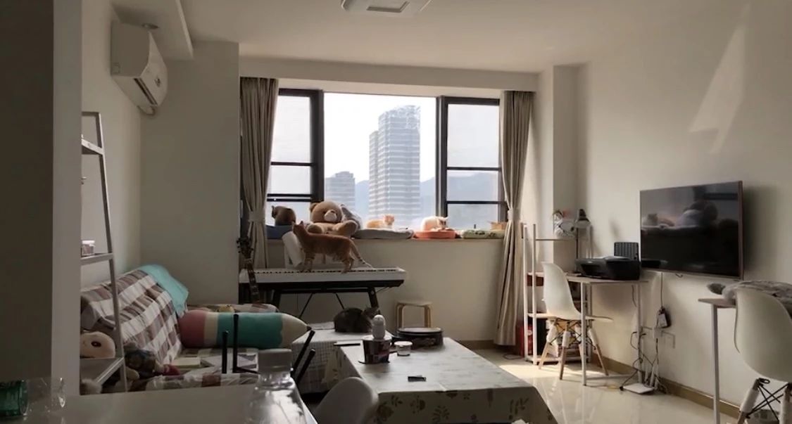 猫咪贫血药物治疗多久恢复,猫咪贫血的原因是什么有什么症状