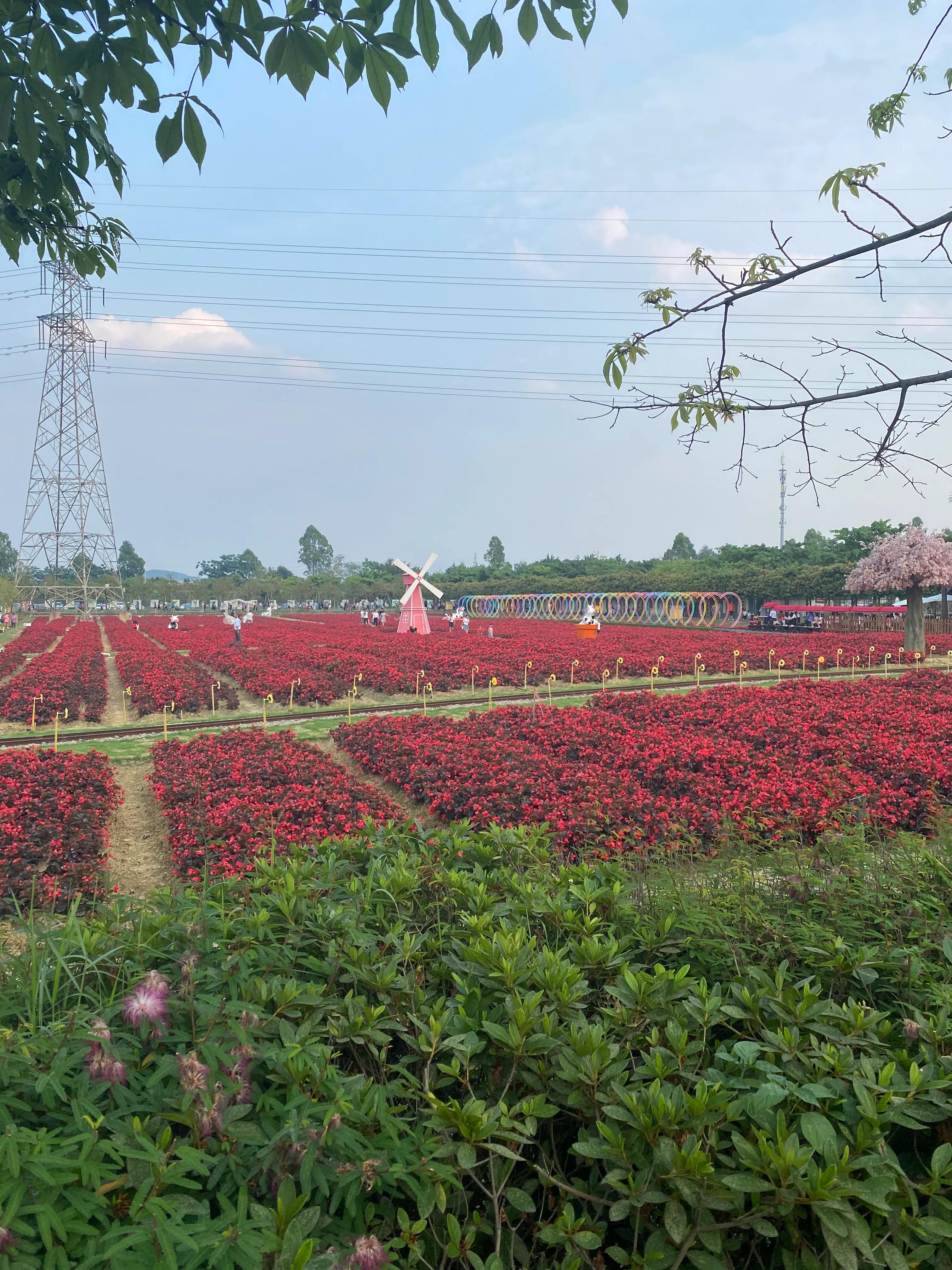 佛山盈香生态园一天玩得完吗,佛山盈香生态园值得去吗