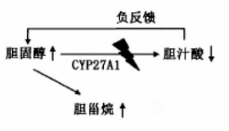 男子脚长了一个肿瘤,男子脚上长了一个红色疙瘩