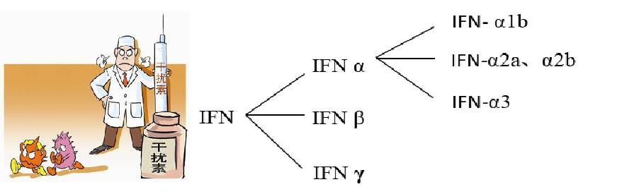 干扰素抗新冠病毒吗,干扰素防控新冠病毒