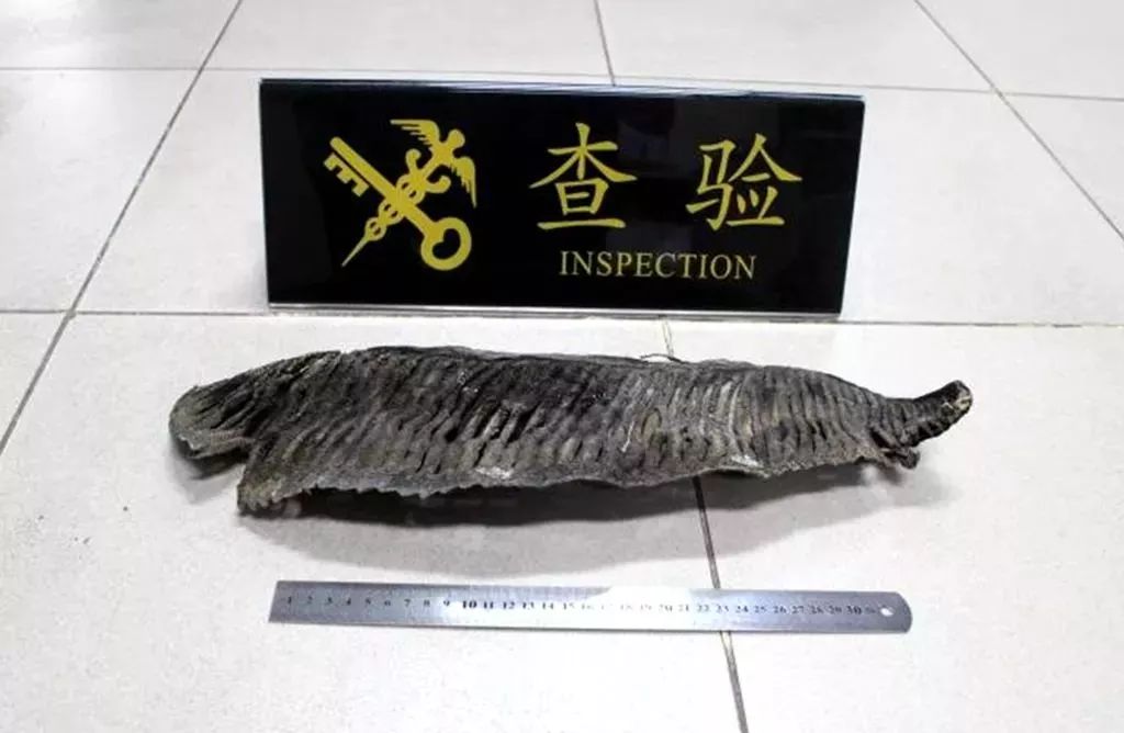 惠州人去港澳Shopping，这些东西不要买，以免中招