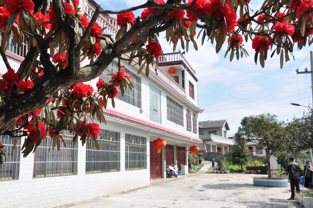 分享贵州毕节美食,毕节好吃的美食