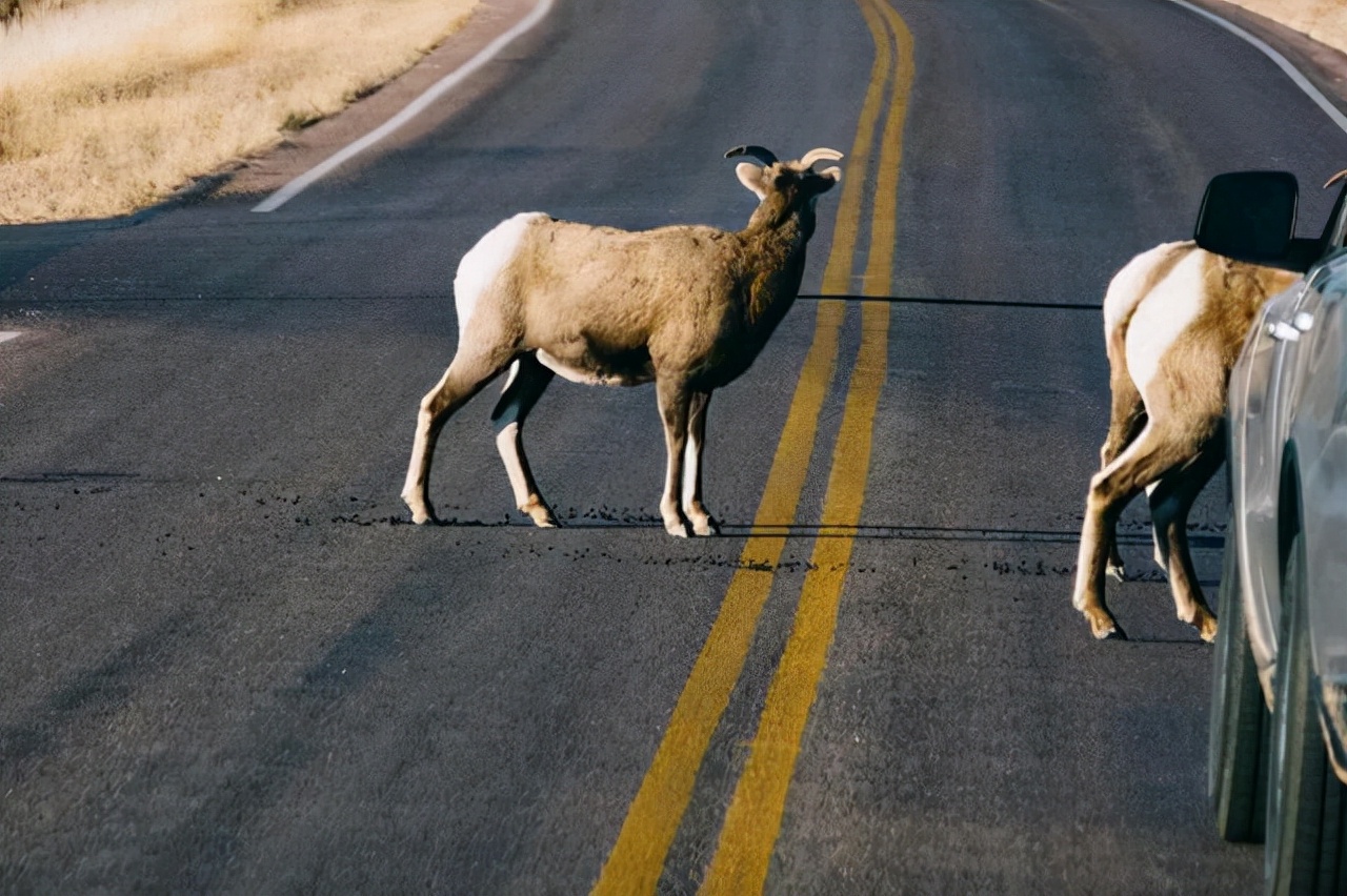 2022年摩托车交强险需要什么证件,车辆交强险需要什么证件