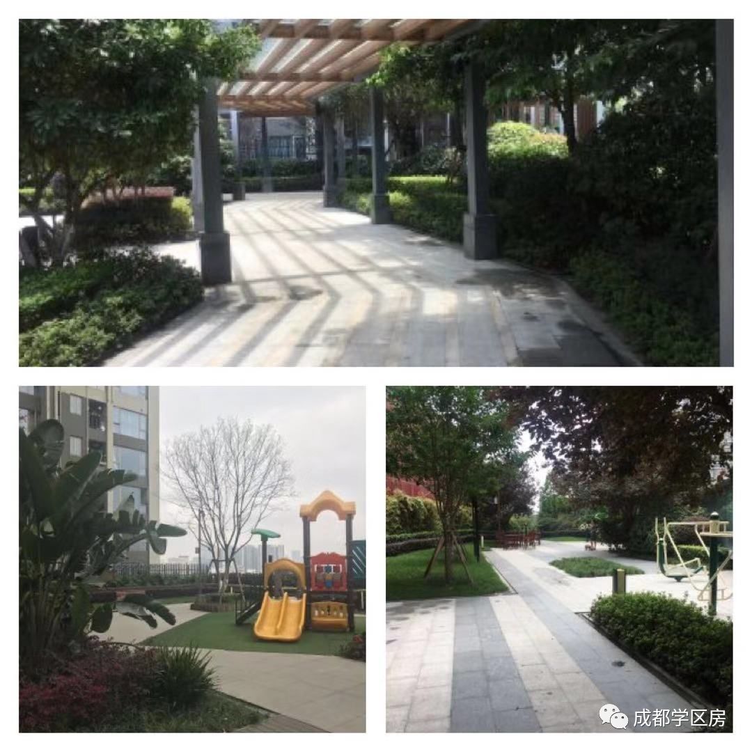 建设路附近学区房,热门双半径学区房