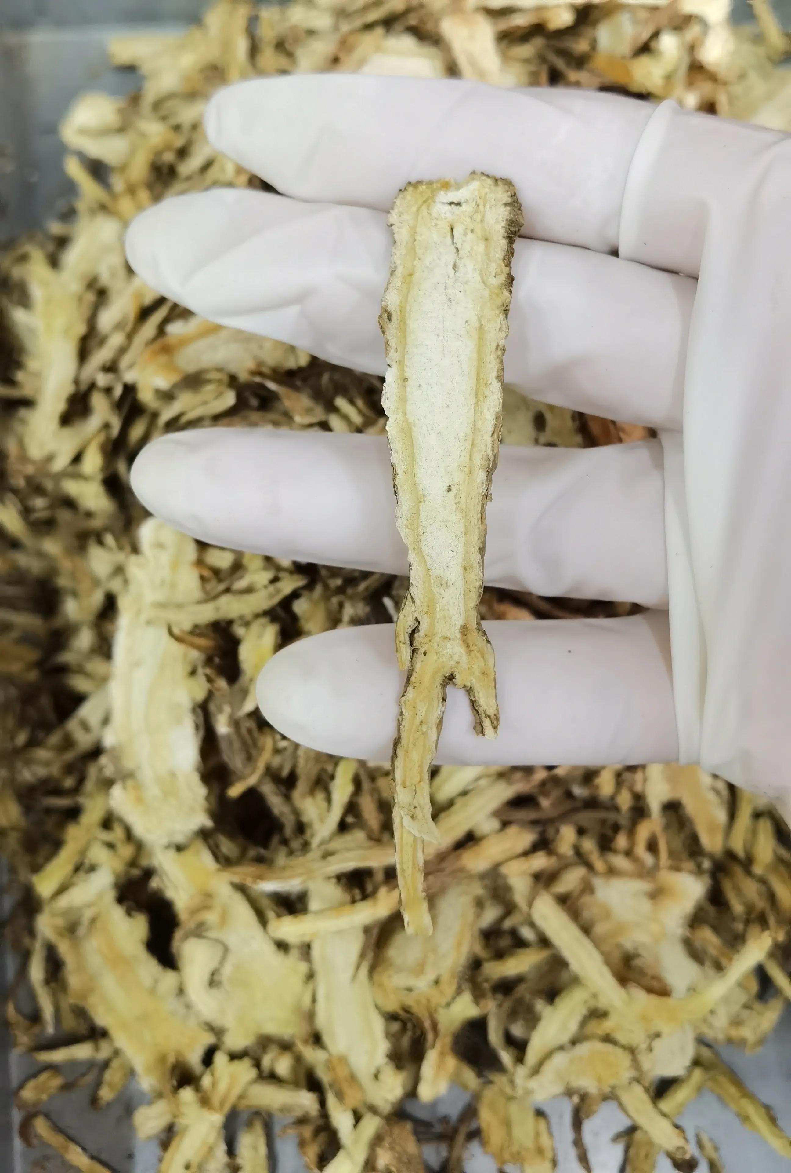 补血当归精功能主治,补血当归精真的管用吗