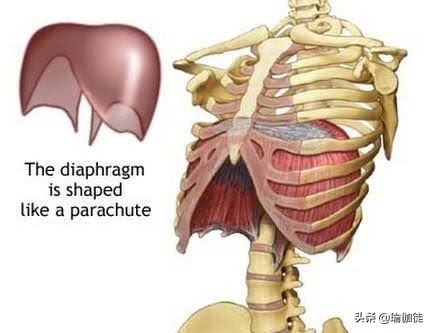开车肩颈疼怎么缓解,开车姿势会引起肩膀疼吗
