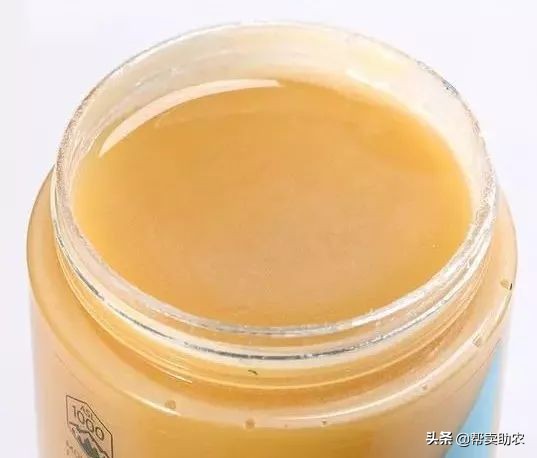 乾隆皇帝宠爱女人,乾隆皇帝独宠如意